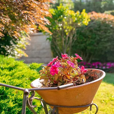 Lombina ホテル 3*